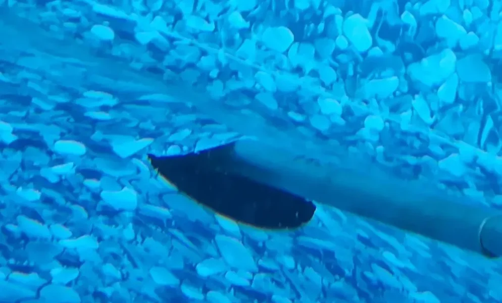 Pool Liner Leak